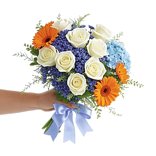 Serene Petal Harmony