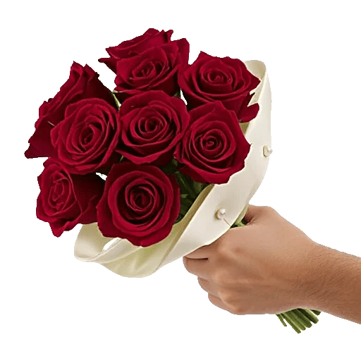 Crimson Rose Elegance