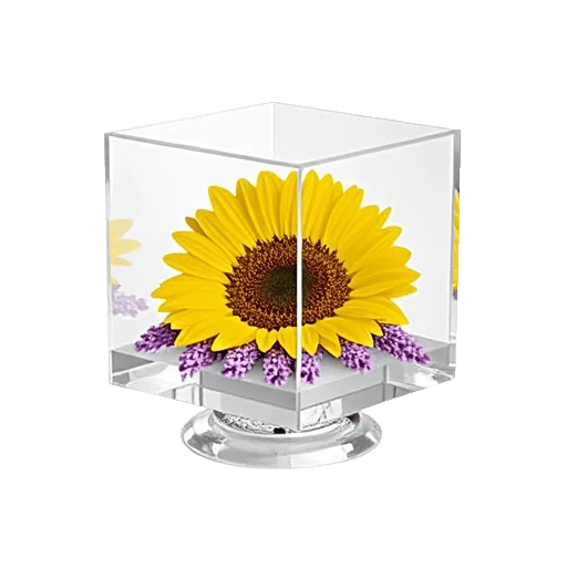 Amber Sunflower Glow