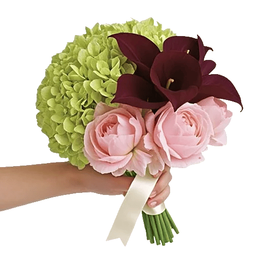 Petal Grace Harmony