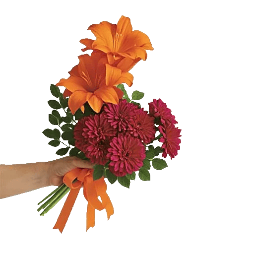 Petal Harmony Bliss