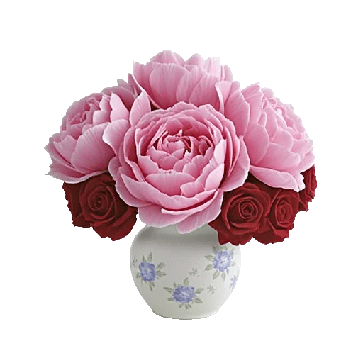 Peony Petal Harmony
