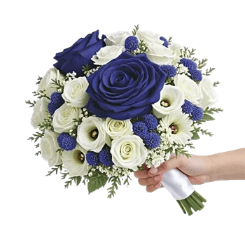 Elegant Blue Roses