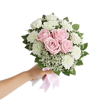 Pastel Pink Roses