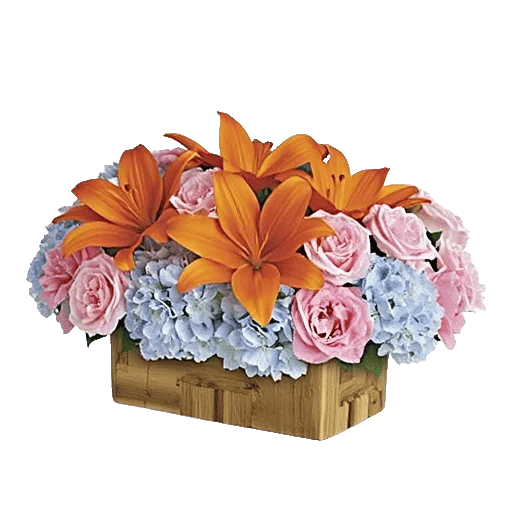 Blossom Glow Symphony