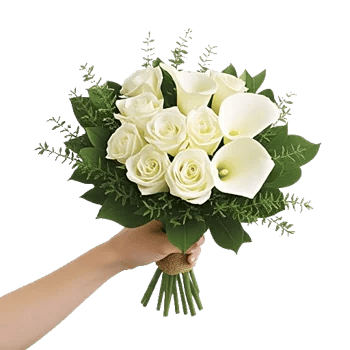 Ivory Garden Grace