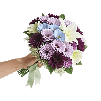 Blossom Petal Serenity