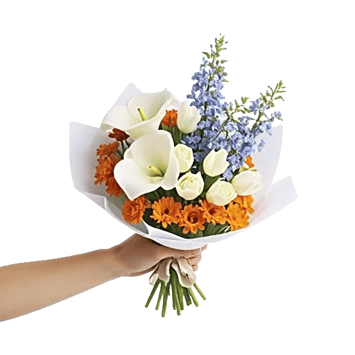 Elegant Calla Lilies