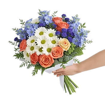 Blossom Petal Serenity