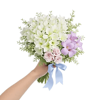 Ivory Blossom Radiance