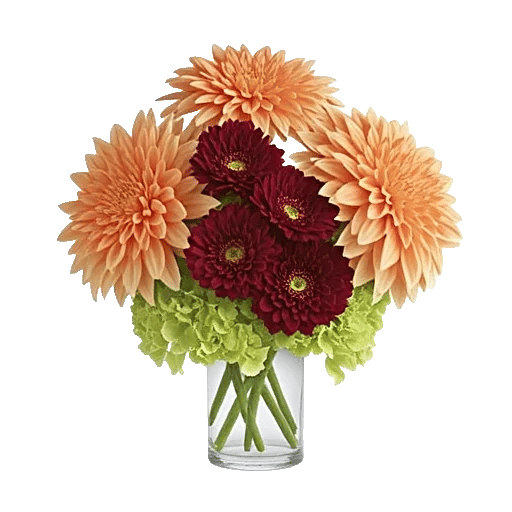 Petal Radiance Bliss