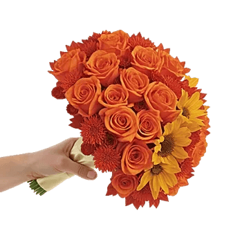 Radiant Bloom Cascade