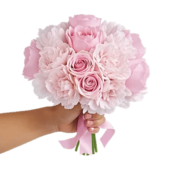 Pastel Pink Roses