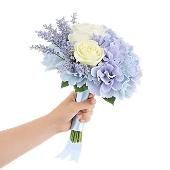 Serene Petal Harmony