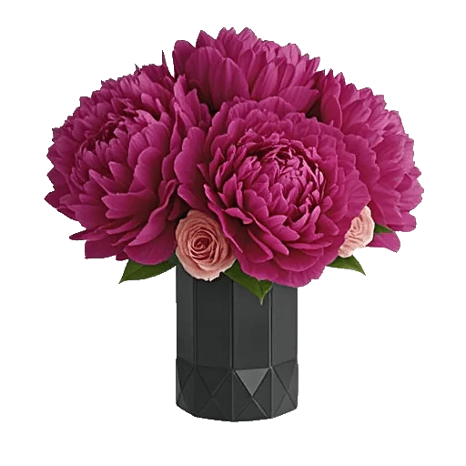 Petal Radiance Bliss