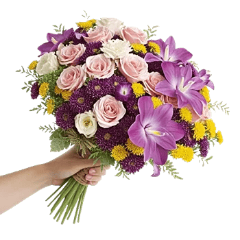 Petal Grace Harmony
