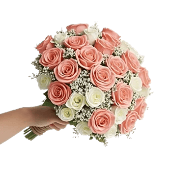 Blushing Rose Symphony