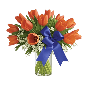 Ivory Blossom Radiance