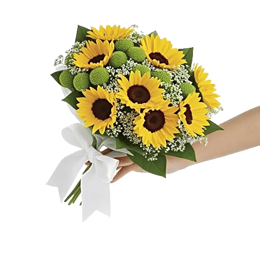 Blossom Petal Serenity