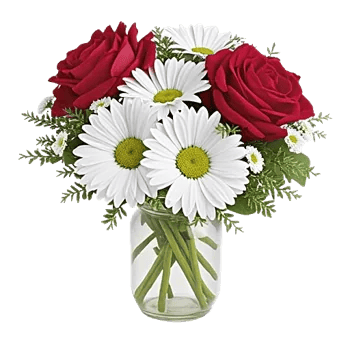 Tulip Rose Mix