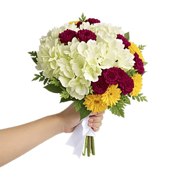 Serene Petal Harmony