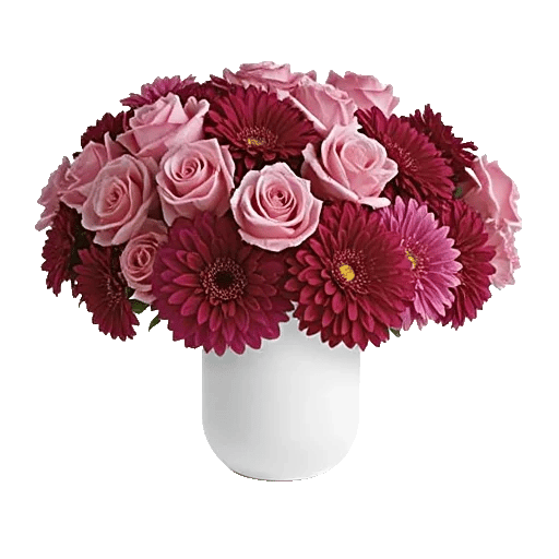 Pink Pastel Roses