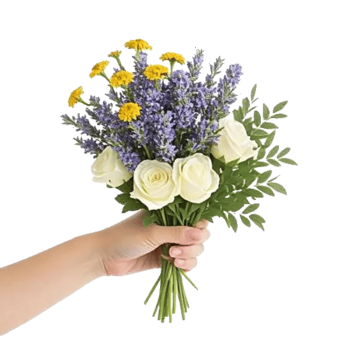 Serene Petal Harmony