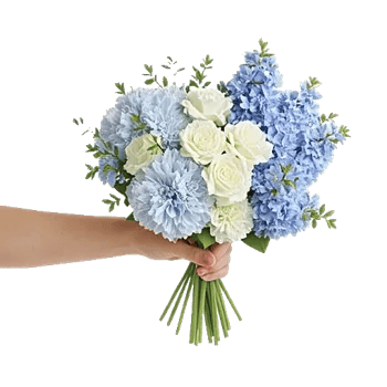 Sapphire Bloom Whisper
