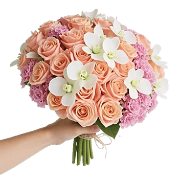 Petal Grace Harmony