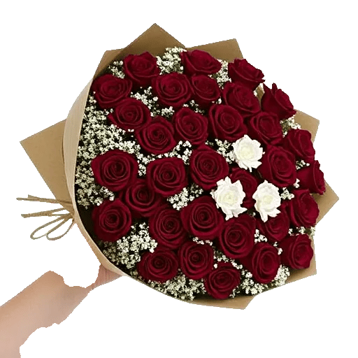 Crimson Rose Elegance