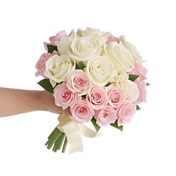 Pink Pastel Roses