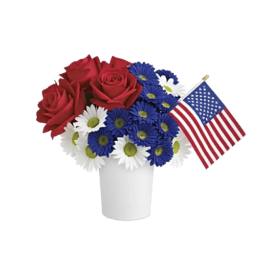 Crimson Rose Elegance