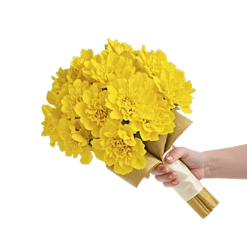 Golden Petal Harmony