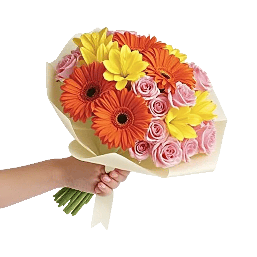 Petal Harmony Bliss