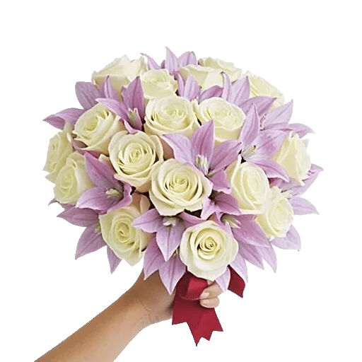 Blushing Rose Symphony