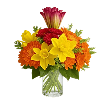 Petal Radiance Bliss