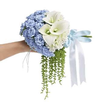 Serenity Blossom Grace