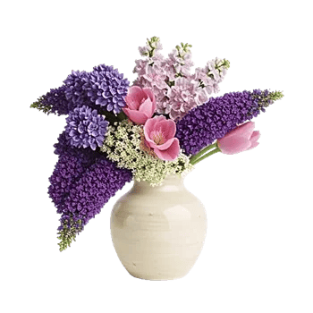Ivory Blossom Radiance