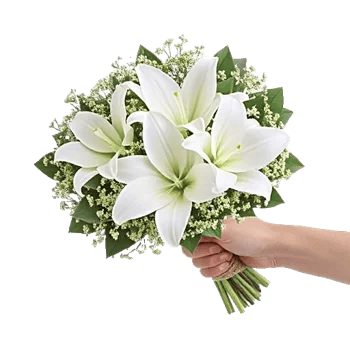 Minimalist White Orchids