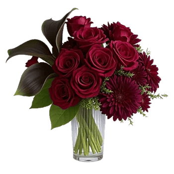 Crimson Blossom Harmony