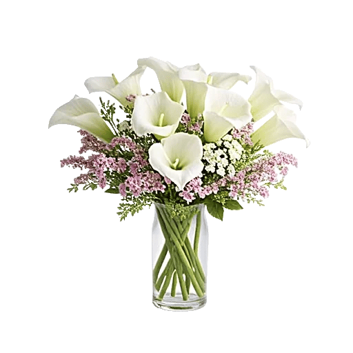 Elegant Calla Lilies