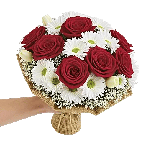 Crimson Rose Elegance