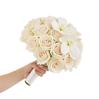 Modern White Orchids