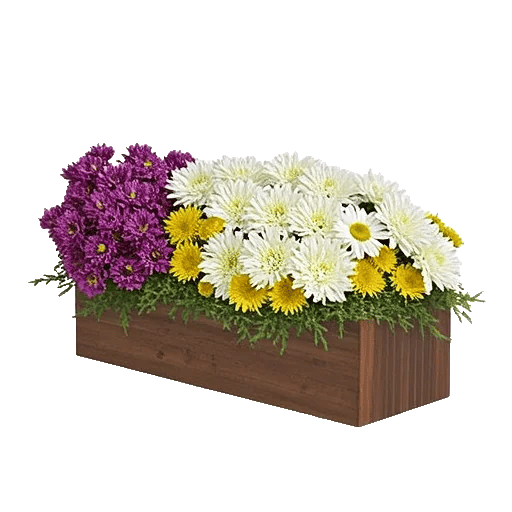 Delicate Petal Cascade