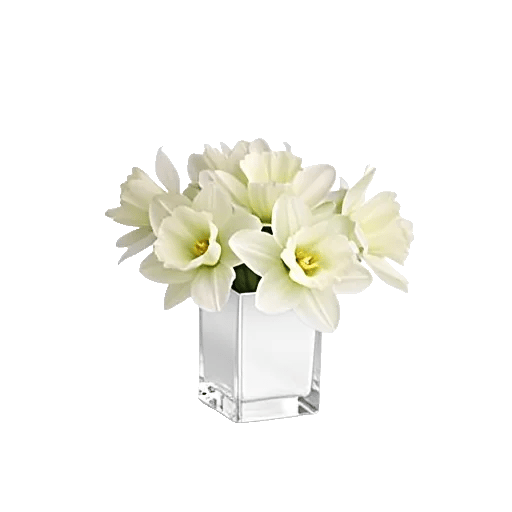 Opal Orchid Delight