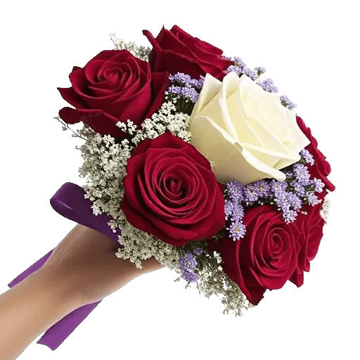 Crimson Rose Elegance