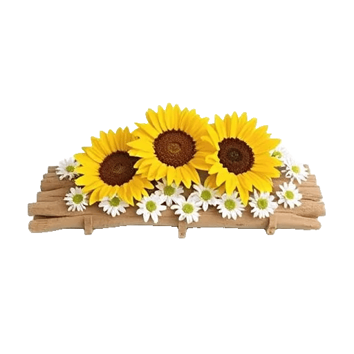 Twinkling Sunflower Dance