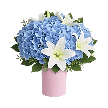 Azure Sky Blooms