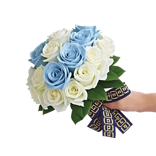 Elegant Blue Roses