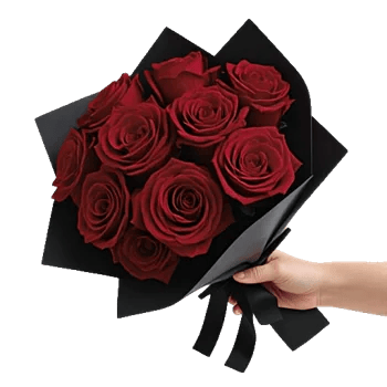 Crimson Rose Elegance